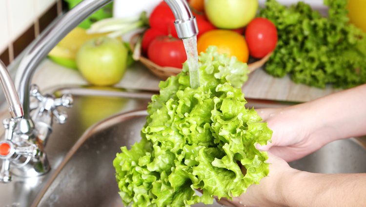 Uno de los primeros pasos será lavar la lechuga